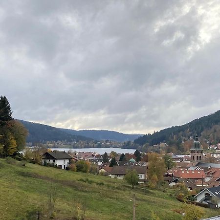 Entre Lac Et Pistes De Ski Gérardmer Екстериор снимка